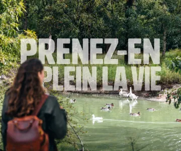 Bienvenidos a la isla de Oléron y a la cuenca de Marennes