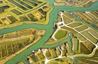 Marais de l'île d'Oléron et du bassin de Marennes