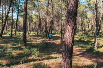 Côté forêt sur l'île d'Oléron