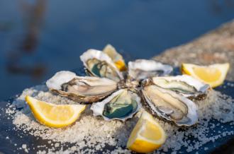 Bars à huître et fruits de mer île d'Oléron Marennes