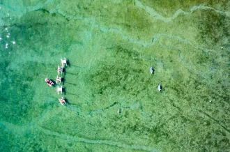 Zeil- en duikschool Ile d'Oléron Marennes