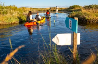 El piragüismo, la isla de Oléron y la cuenca de Marennes