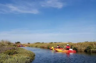 Animation en canoé par le CPIE-Marais d'Arceau