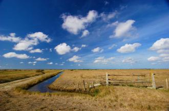 Marais de la Seudre