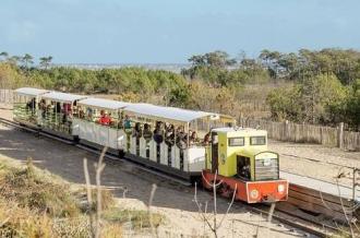 Le P'tit Train de Saint-Trojan