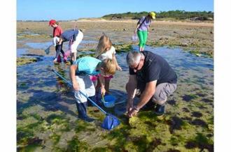 Pêche à pied écologique