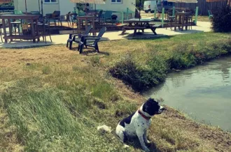 La cabane de Batifou - Courdavault Alain & Fils_Dolus-d'Oléron