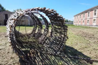 Découverte de l'oeuvre végétale et sonore "Réseaux connectés"_Marennes-Hiers-Brouage