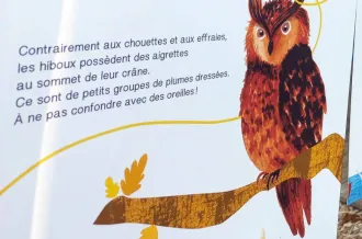 Exposition "Suis du doigt la Chouette"_Marennes-Hiers-Brouage