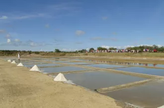 Port des Salines, Oléron, visite du marais salant