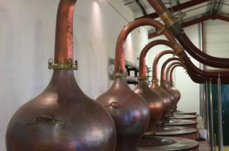 Visite gratuite de la Distillerie des Vignerons d'Oléron