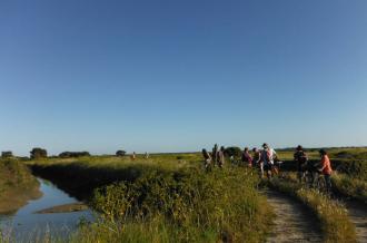 La vie cachée du marais de l'Eguille