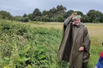 Sortie découverte des plantes sauvages comestibles et pas que !