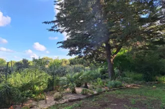 Les jardins de l'âme cham