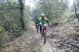 Randonnée des Mimosas