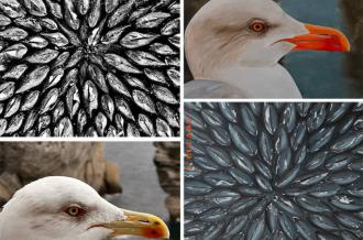 EXPOSITION Caroline Watrigant et Emma Tourneur