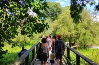 Le sentier de découverte_Dolus-d'Oléron