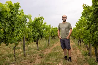 Vignoble Pradère_Saint-Pierre-d'Oléron