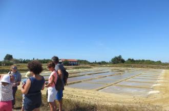 Atelier en famille - Les explorateurs du marais_Le Grand-Village-Plage