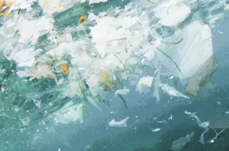 Une bouteille à la mer.