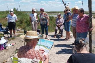 Stage d'aquarelle "Oyat des dunes & libellule"_Saint-Pierre-d'Oléron