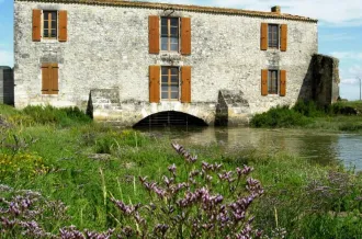 Découverte sensorielle du marais au Moulin des Loges_Saint-Just-Luzac