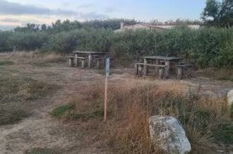 Aire de pique nique plage de Chaucre_Saint-Georges-d'Oléron