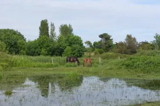 Festival "Trésors de l'île"_Dolus-d'Oléron