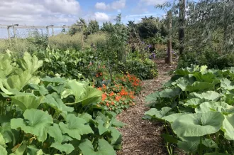 jardin