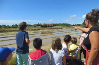 Atelier 7-12 ans le grimoire magique du marais au Port des Salines_Le Grand-Village-Plage