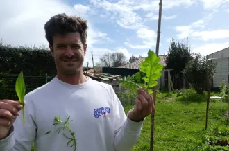 Découverte nature : initiation à la cueillette - les marais oléronais