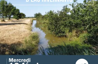 Sortie nature_Marennes-Hiers-Brouage