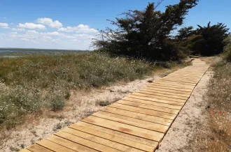 Semaine de l'Arbre et du Paysage : Déambulation au cœur des paysages dunaires