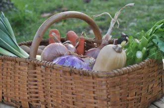 Marché de producteurs Marennes Oléron Produits Saveurs (MOPS)