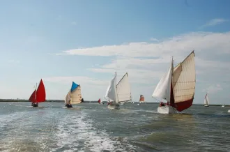 "Fleuves, Îles et Pertuis" : rassemblement de bateaux traditionnels_Saint-Denis-d'Oléron