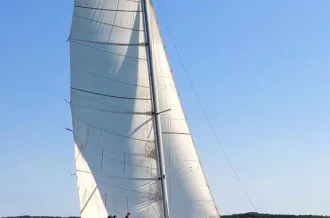 Sortie biodiversité et voile