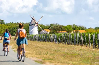 Balade gourmande à vélo - Nord Oléron