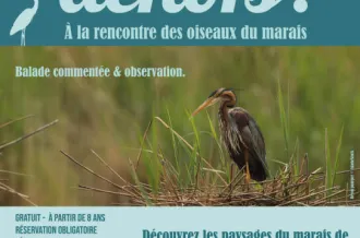 Tous dehors à la rencontre des oiseaux du marais du Brouage