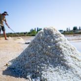 Produits du terroir île d'Oléron Marennes