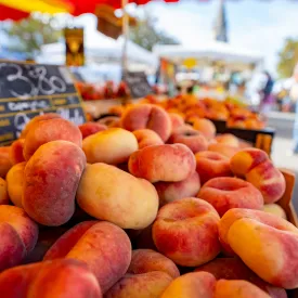 Markt van Ile d'Oléron