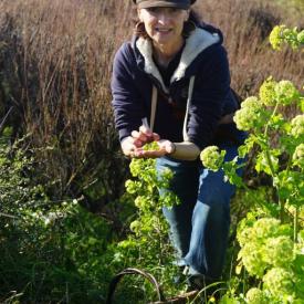 Atelier plantes comestibles