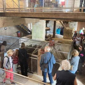 Visite guidée à 2 voix pour la Fête de la Nature au Moulin des Loges