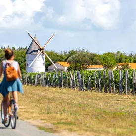 Balade gourmande à vélo - Nord Oléron