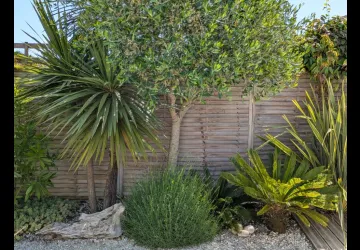 Meublé de Véronique Nowak_Saint-Georges-d'Oléron