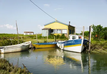 La route des huîtres et ses chenaux ostréicoles_Dolus-d'Oléron