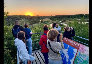 Le Marais aux Oiseaux_Dolus-d'Oléron