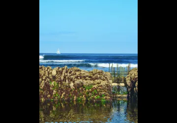 Ecluse à poissons St Denis