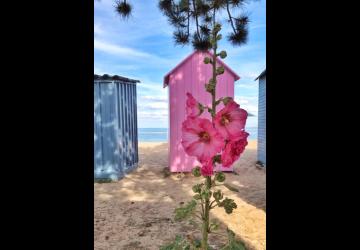 plage de la boirie