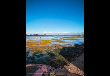 La Baie du Chapus