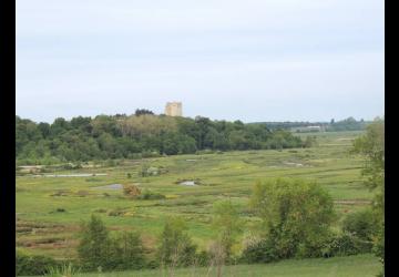 Marais de Brouage